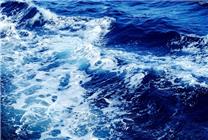 日本核污水倒大海!18亿扇贝突死,水产品辐射分析精度降低