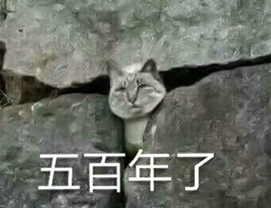 在地下洞穴坐牢500天后：女探险家结束了与世隔绝的生活