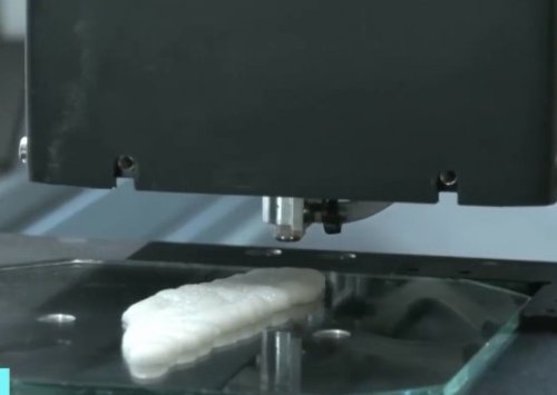 全球首块3D打印鱼片出炉：可直接烹饪 肉质鲜嫩多汁