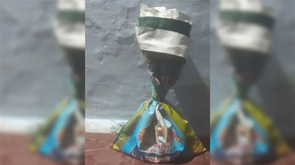 印度发现1.5米白化眼镜蛇：一般活不过24小时 但它不一样