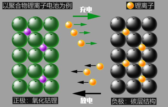 电池放两周就报废！电车真就这么娇贵？真的