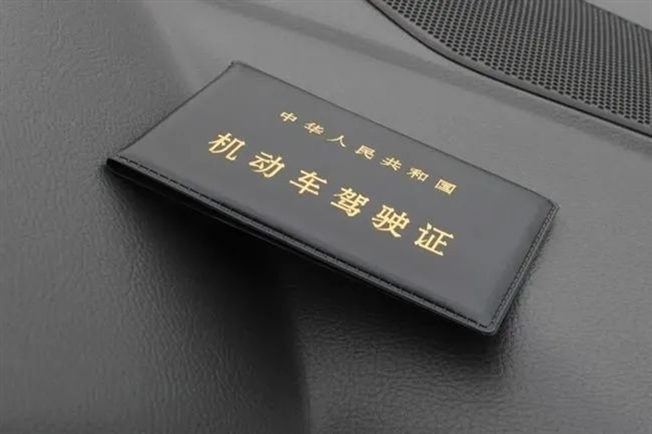 小车高速公路隧道内违停！男子被查竟亮出12800元买的驾照
