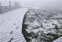 北京延庆下雪了！网友：一天内跨越“霜降、立冬”，即将进入小雪季节！
